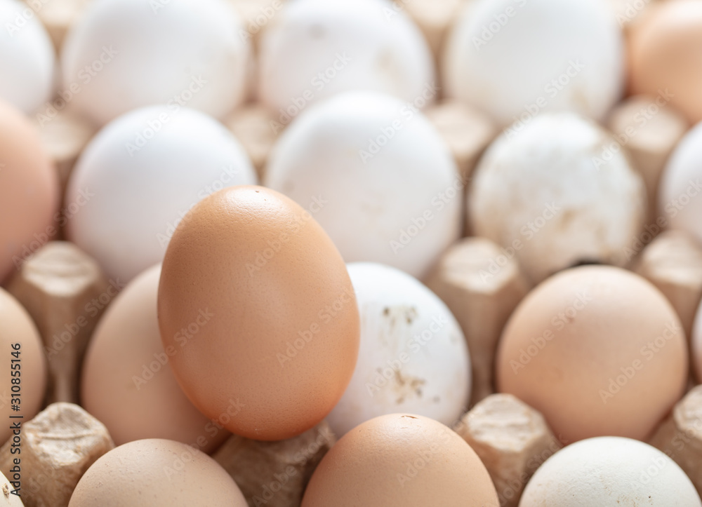 Fresh chicken eggs in industrial mud as a background Fresh chicken eggs in industrial mud as a background