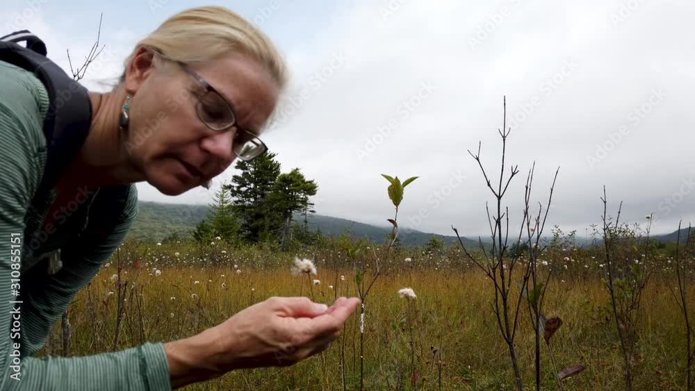Closeup of pretty, blonde, mature woman looking at cotton grass at Cranberry Glades Botanical Area boardwalk. Closeup of pretty, blonde, mature woman looking at cotton grass at Cranberry Glades Botanical Area boardwalk.