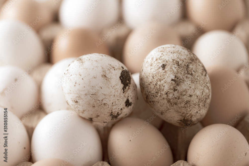Fresh chicken eggs in industrial mud as a background Fresh chicken eggs in industrial mud as a background