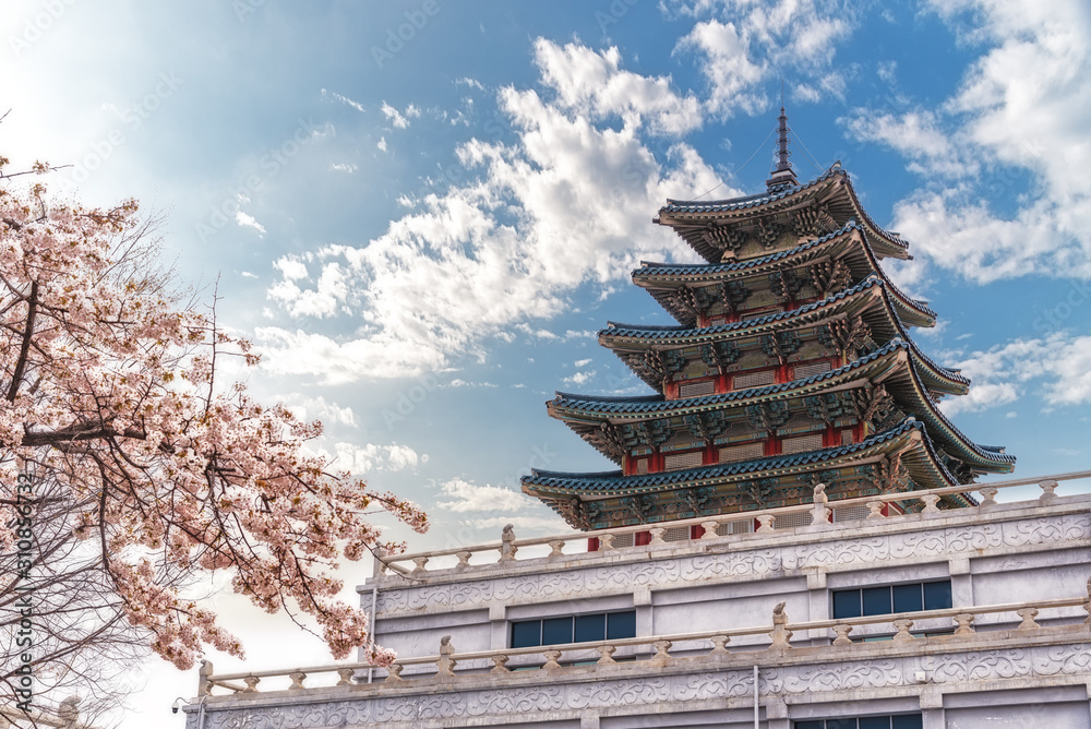 Gyeongbokgung Palace with cherry blossom in spring with the name of the palace 'Gyeongbokgung' on a sign. Gyeongbokgung Palace with cherry blossom in spring with the name of the palace 'Gyeongbokgung' on a sign.