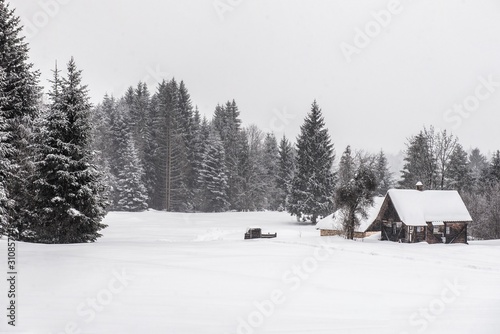 house in winter forest
