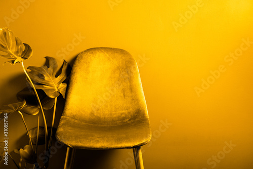 Modern Yellow Velour Chair on wooden legs, toned in yellow image