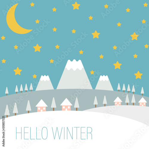 Fototapeta Naklejka Na Ścianę i Meble -  Trees,  houses, moon, stars and mountains. Vector illustration, Hello winter