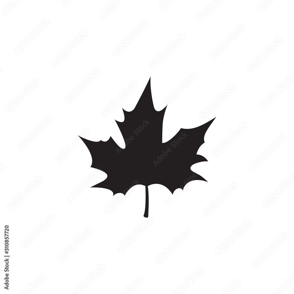 Fototapeta premium Silhouette of sycamore leaf, vector illustration