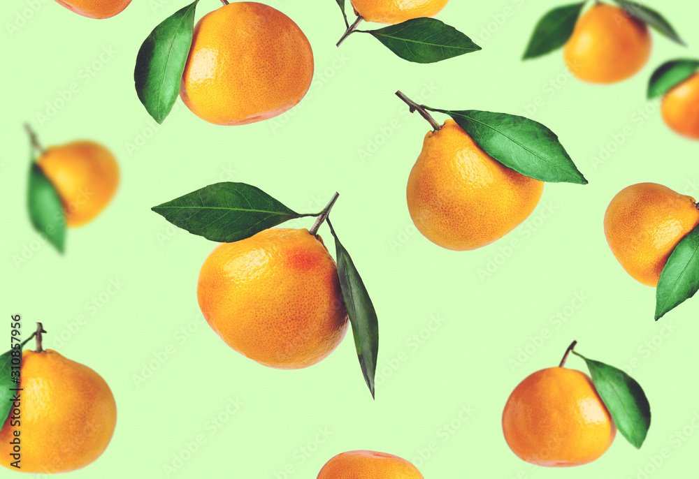 Tangerines of different shapes with leaf on a colored background isolated. Tangerines flying in the air. Christmas composition of a tangerines orange with leaves. Tangerines of different shapes with leaf on a colored background isolated. Tangerines flying in the air. Christmas composition of a tangerines orange with leaves.