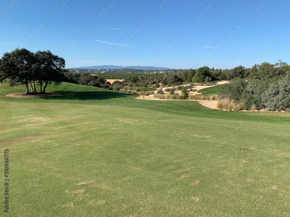 golf course on a sunny day