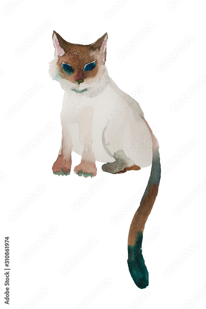 Original watercolor cartoon style siamese cat shildren illustration wet  style isolated on white background Stock Illustration | Adobe Stock