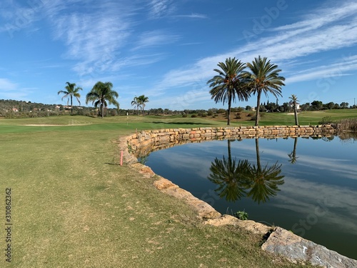 golf green with pond and palm tree reflection