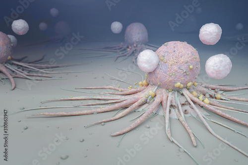 Obraz na plátně Immune System White Blood Cells attacking Cancer Cells, 3d illustration