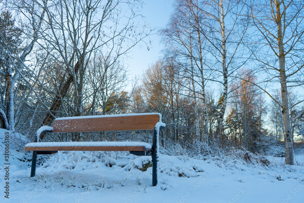 Bench in the woods near Stockholm. Scandinavian winter. Swedish nature wallpaper, background.