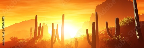 Fototapeta Arezona z kaktusami o zachodzie słońca, renderowania 3d.