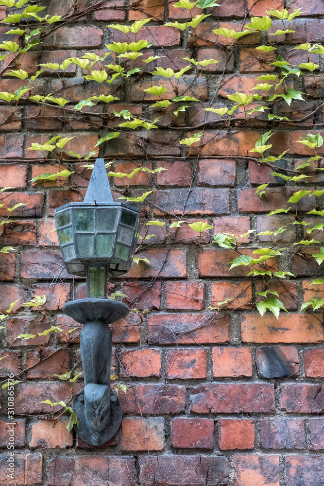 Bronze street lamp on the wall. Red brick wall and ivy.