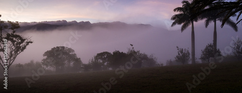 Foggy morning at Bocono Trujillo State, Venezuela © DOUGLAS