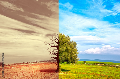 Climate change concept, image of a global warming concept showing the impact of arid land with tree changing environment. Climate change dying soil. 