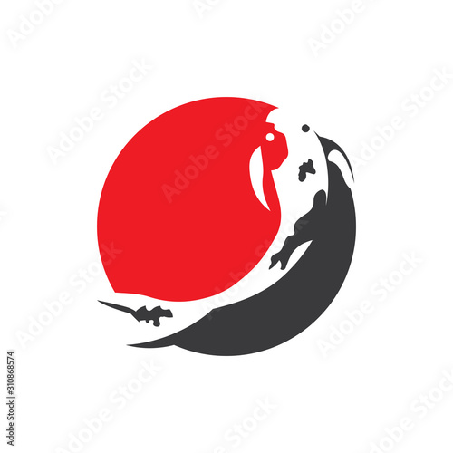 Koi fish animal  logo and symbols vector template