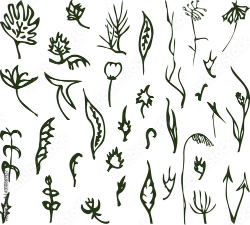 Vector image of set various floral doodles