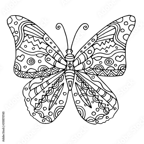 Photography Hand drawn butterfly, isolated on white background