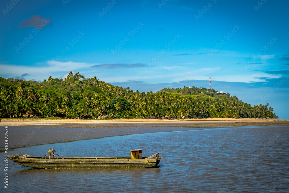 Fototapeta premium Beaches of Brazil - Maragogi Beach, Alagoas State