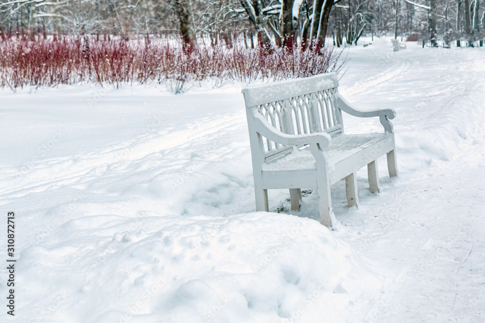 empty white wooden bench stands in a snowy winter park