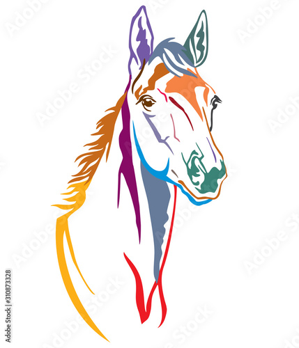 Colorful decorative horse 2