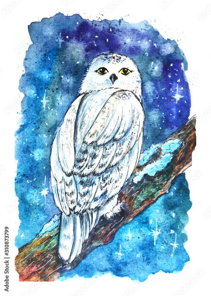 Obraz premium white owl night winter lettering harry potter stars snow watercolor drawing illustration