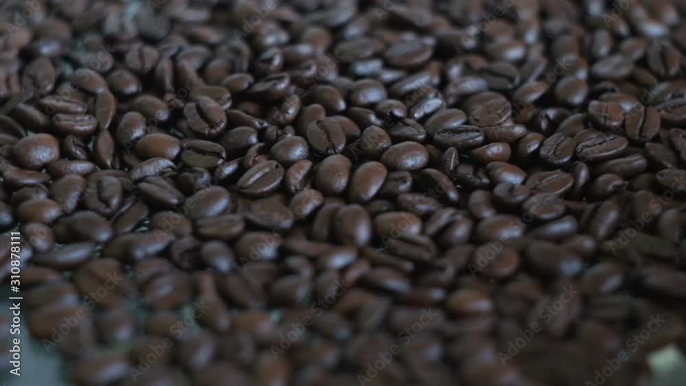 Movment of Black coffee bean .Food and drink concept Movment of Black coffee bean .Food and drink concept