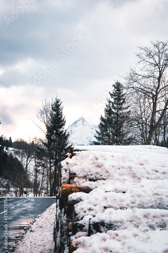 Wooden logs in winter snow with forest background.