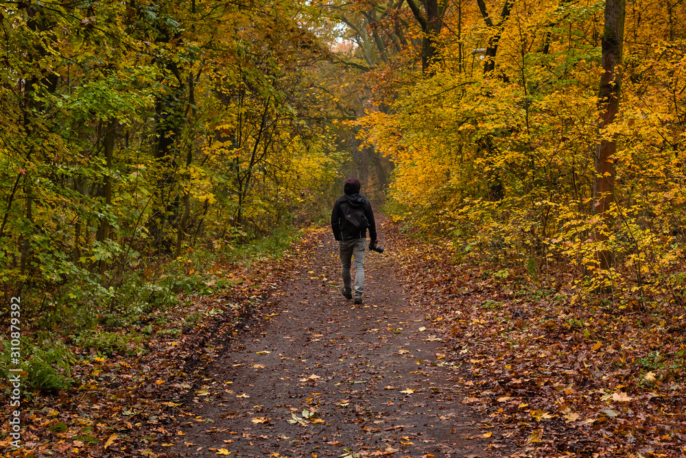 A photographer walks through a slightly foggy forest, A man walks along a path in the autumn forest A photographer walks through a slightly foggy forest, A man walks along a path in the autumn forest