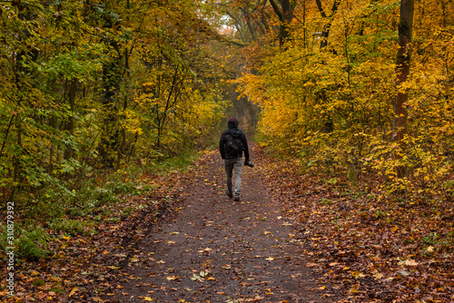 A photographer walks through a slightly foggy forest, A man walks along a path in the autumn forest