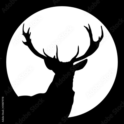 Hirsch