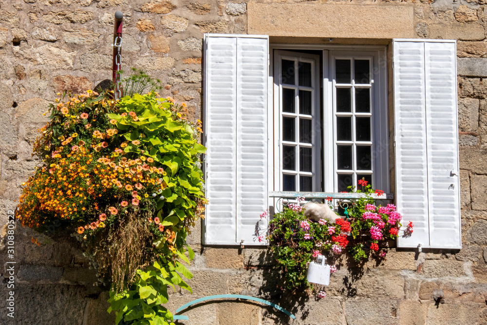 Naklejka premium Façade fleurie de maison