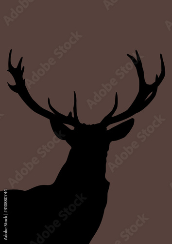 Hirsch