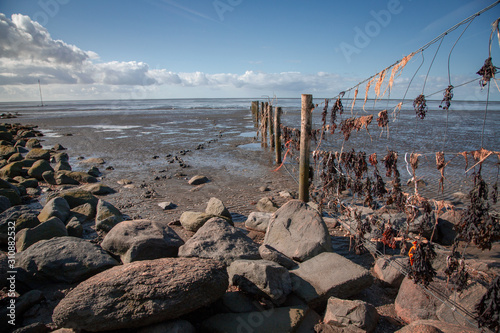 pile of stones and fence in the wadden sea