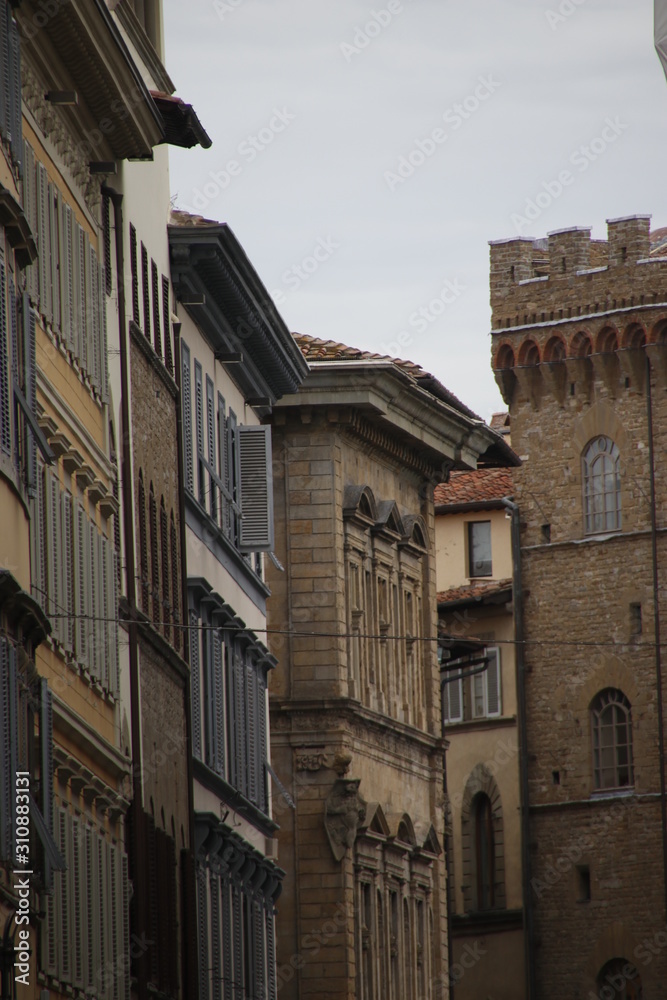 Architectonic heritage in the old town of Firenze