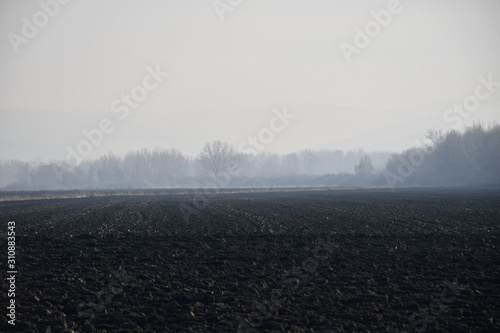 Foggy winter landscape 