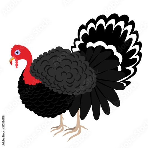 Cartoon turkey. Vector illustration on a white background. Drawing for children.
