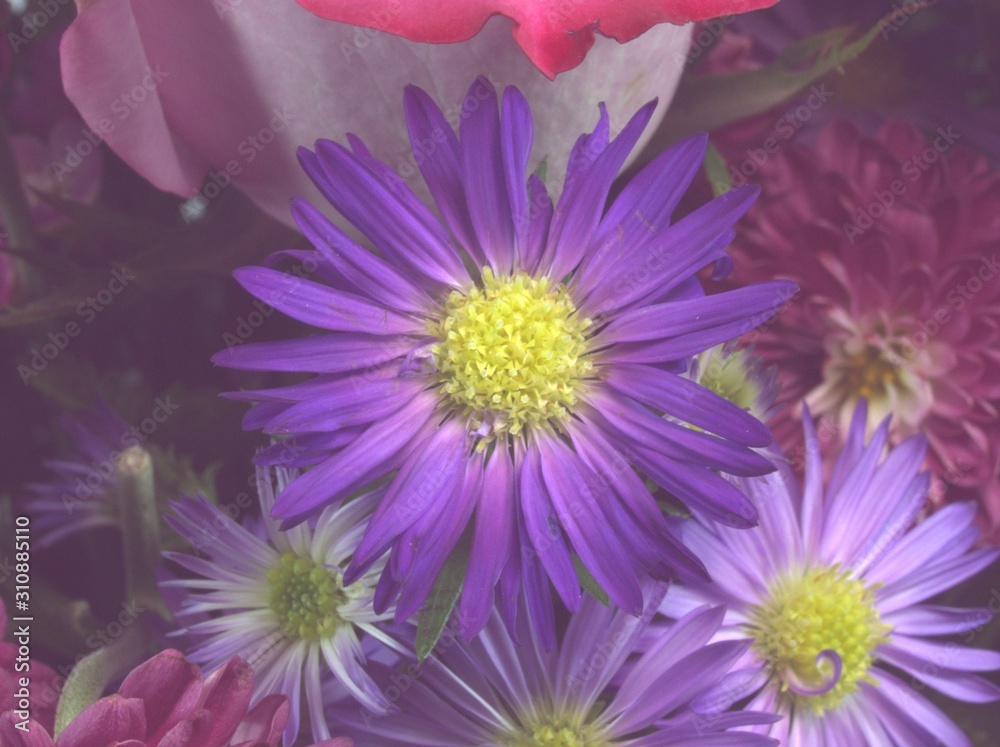 Fototapeta premium ARRANGEMENT FLOWERS