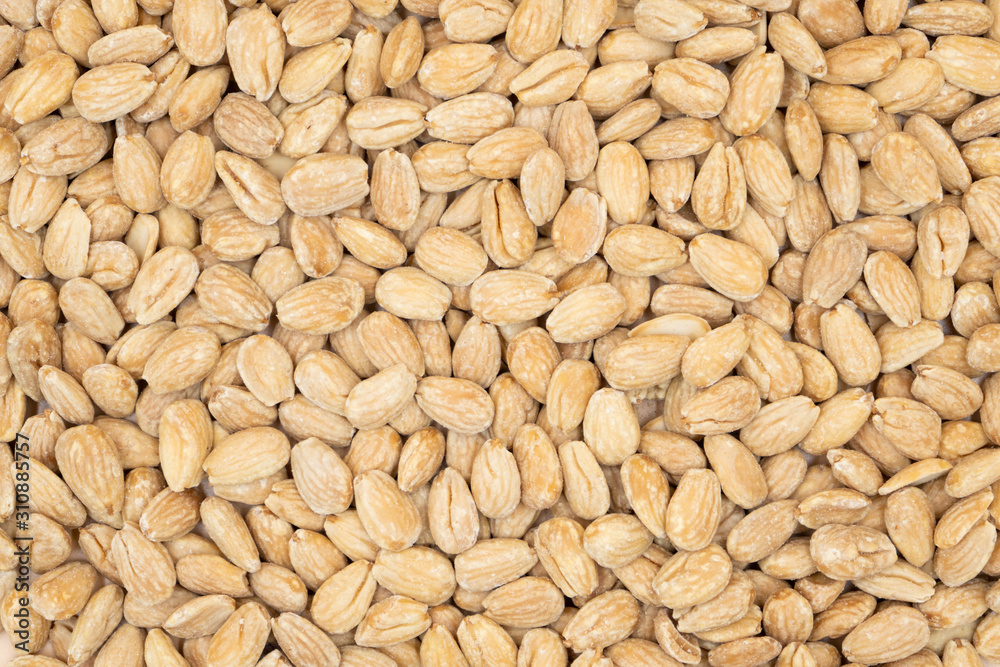 Salted roasted almonds in bulk Salted roasted almonds in bulk
