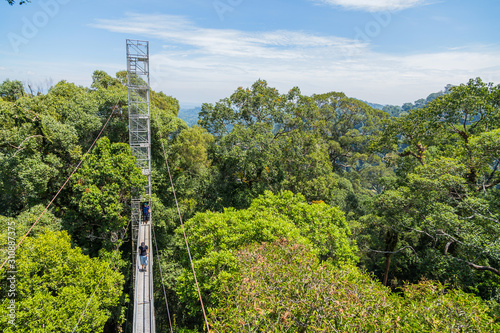 Ulu Temburong National Park photo