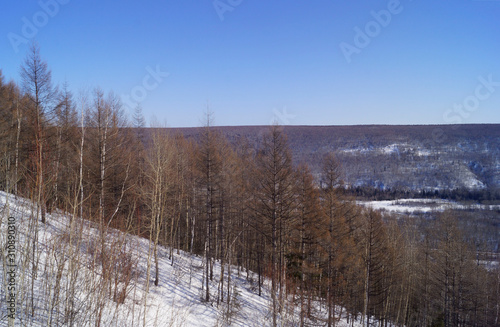 winter landscape with river and trees in winter © Ольга 