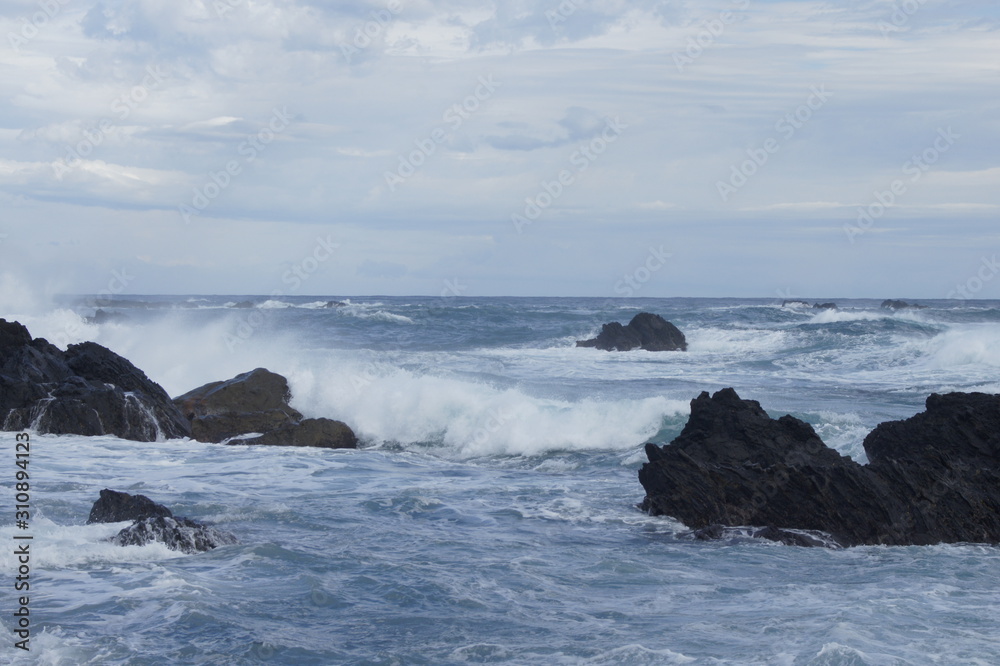  The sea of ​​swell Kochi