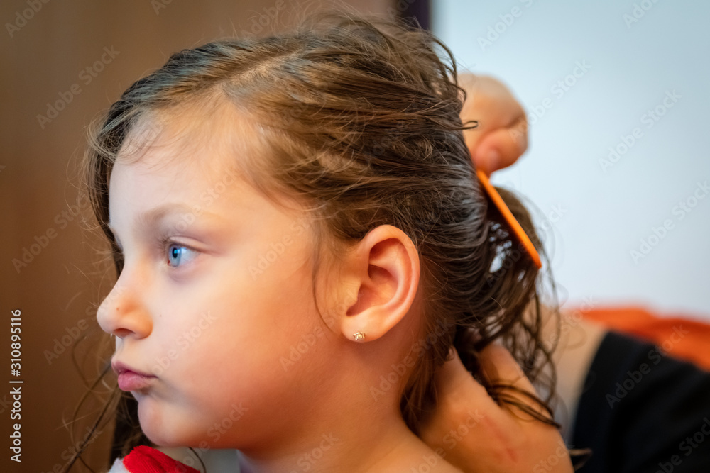 Fototapeta premium cute little girl is being combed by her mother 