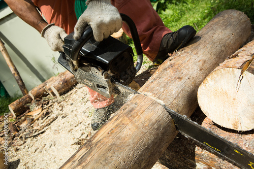 Close-up of a saw cutting a chainsaw in motion, sawdust flying along the sides. 