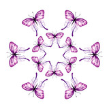 wreath of butterflies on a white background