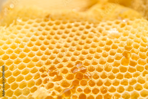 honeycombs honey natural background nectar apiculture.
