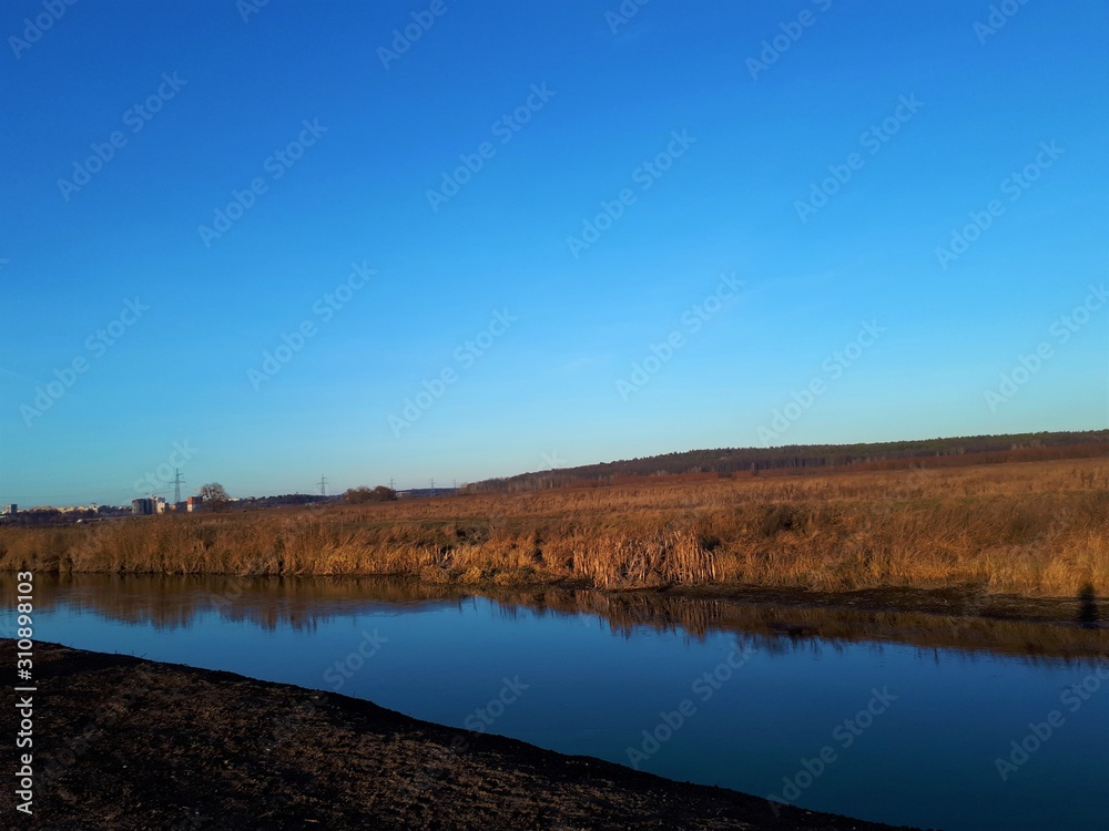  river in autumn, near which yellowed trees, reeds and bushes, against the blue sky