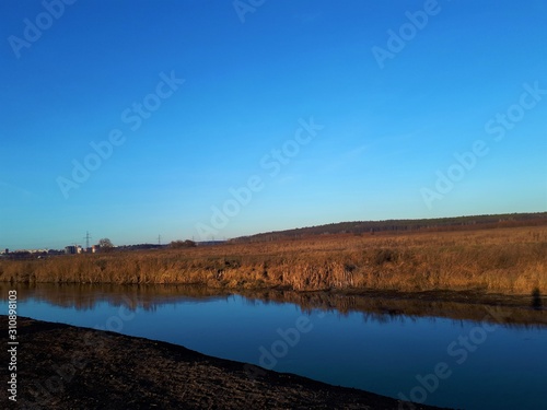  river in autumn  near which yellowed trees  reeds and bushes  against the blue sky