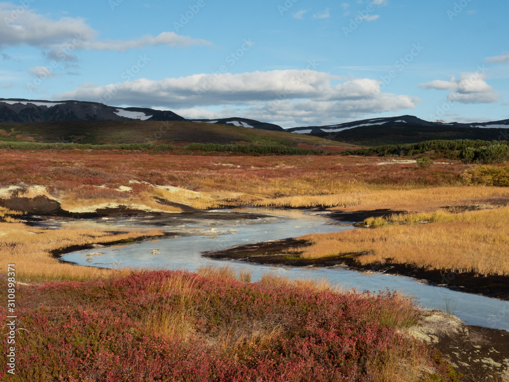 autumn landscape