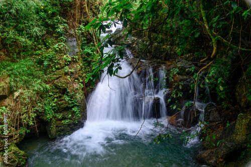 Beautiful streams and waterfalls in the forest in summer.