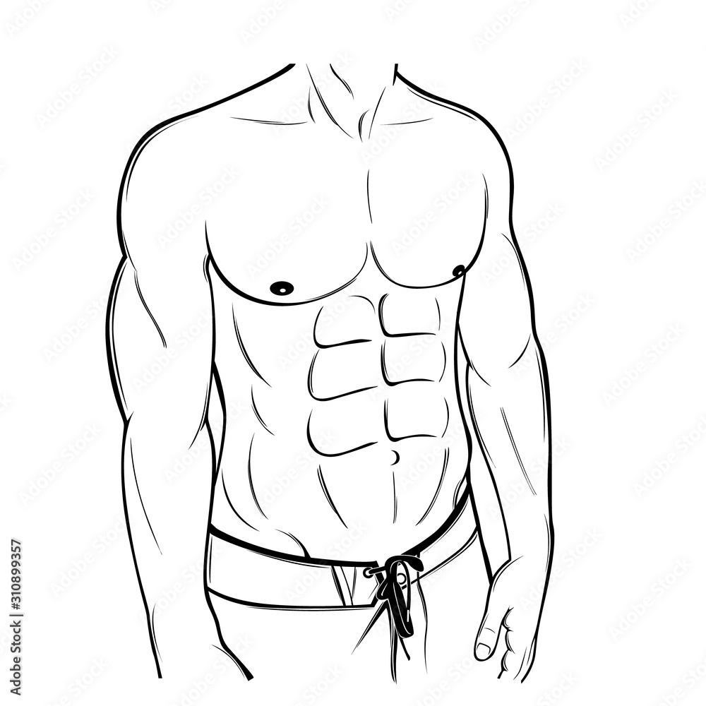 studying male anatomy : r/drawing
